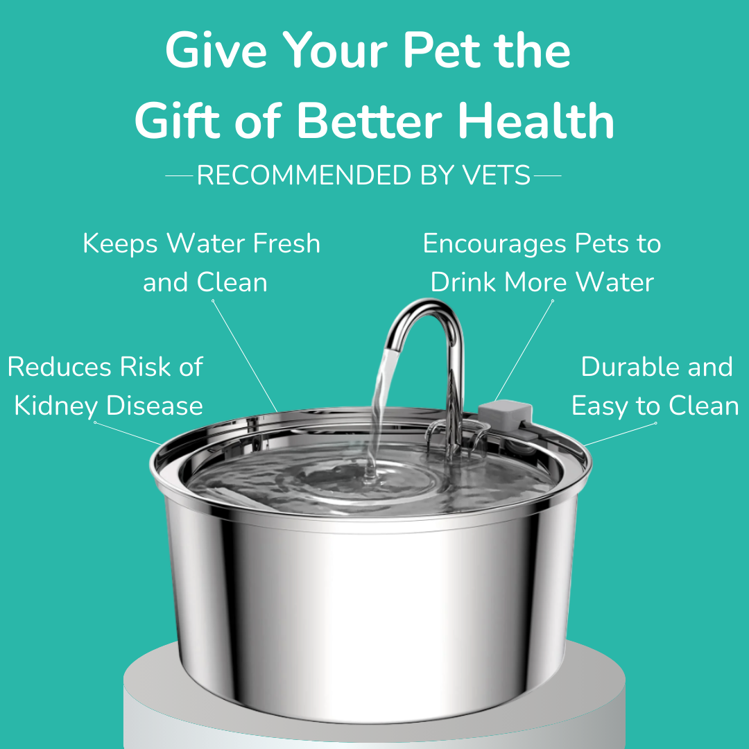 HappySip Water Fountain
