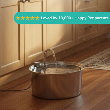 HappySip Water Fountain